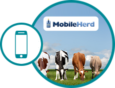 Mobile Herd Image